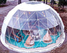 Luna Glamping 15m Stargazer Geodesic Glamping Dome