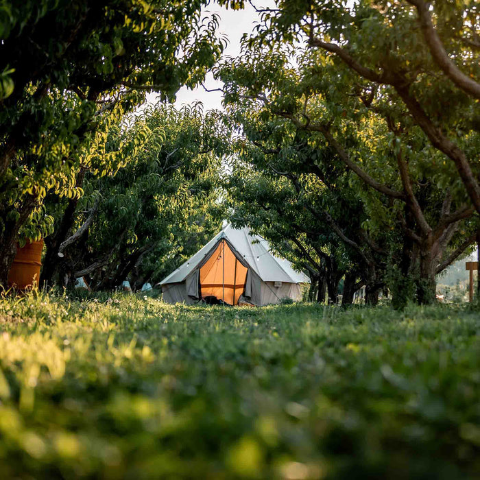 White Duck Outdoors Regatta Bell Tent