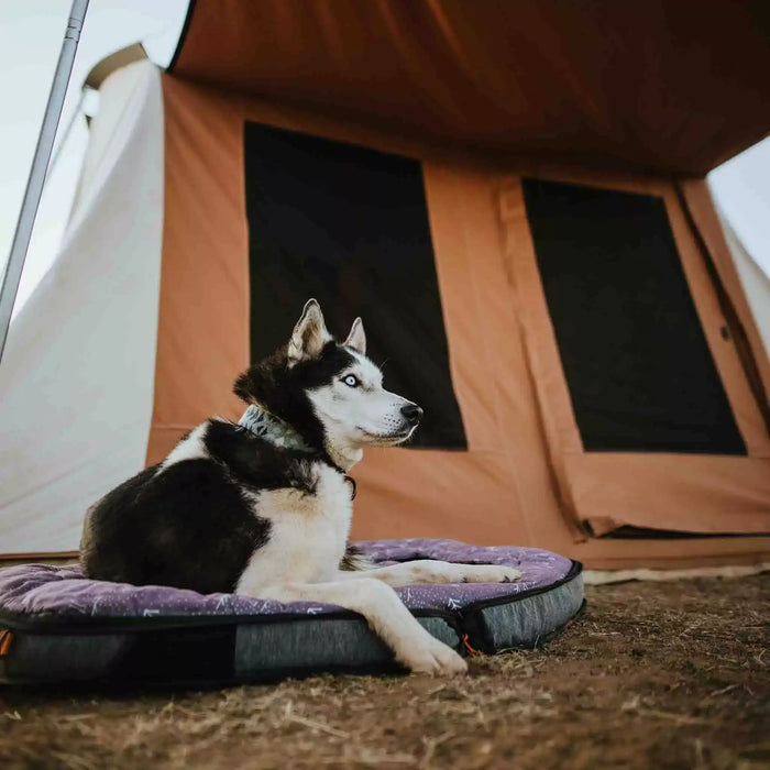 White Duck Outdoors 10'x10' Prota Canvas Tent Standard & Deluxe